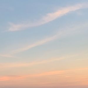 Meet your Posher, Nhung